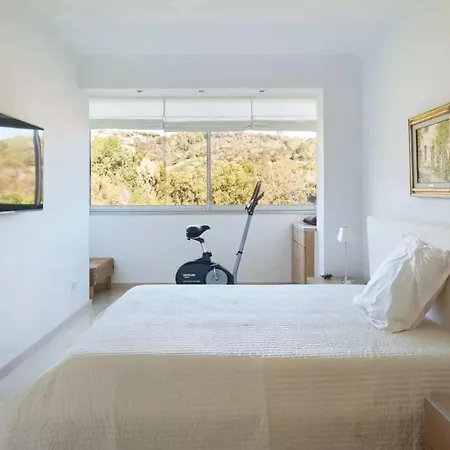 Ref 1969 - - Penthouse With Panoramic Sea View For Rent * Cannes